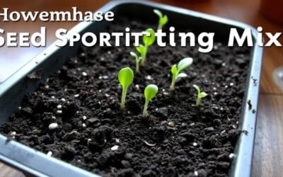 El Sustrato Perfecto para Semilleros: ¿Comprado o Casero? Recetas y Consejos
